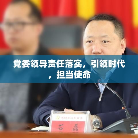 党委领导责任落实，引领时代，担当使命