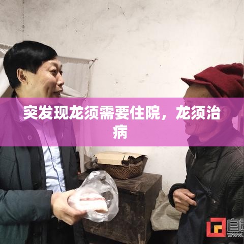 突发现龙须需要住院，龙须治病 