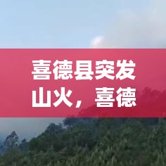 喜德县突发山火，喜德县两起火灾损失 