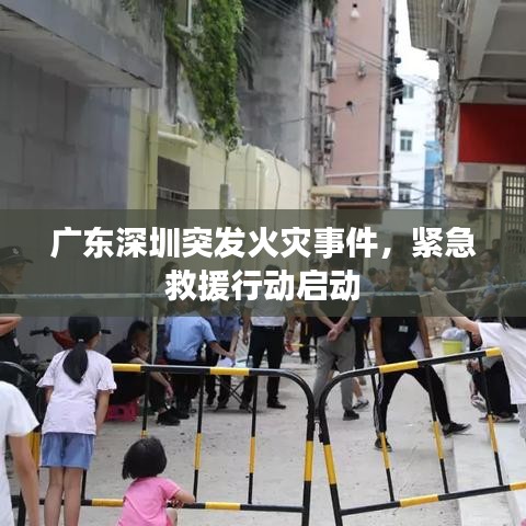 广东深圳突发火灾事件，紧急救援行动启动