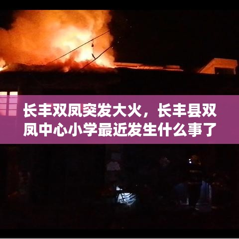 长丰双凤突发大火，长丰县双凤中心小学最近发生什么事了 