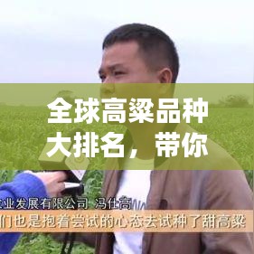 全球高粱品种大排名，带你了解顶尖高粱品种！