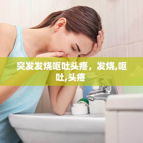 突发发烧呕吐头疼，发烧,呕吐,头疼 