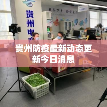 贵州防疫最新动态更新今日消息