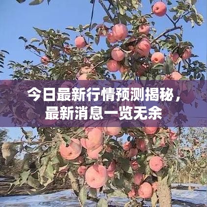 今日最新行情预测揭秘，最新消息一览无余