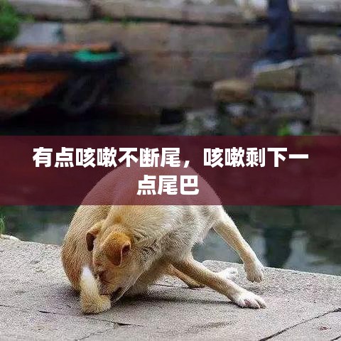有点咳嗽不断尾，咳嗽剩下一点尾巴 