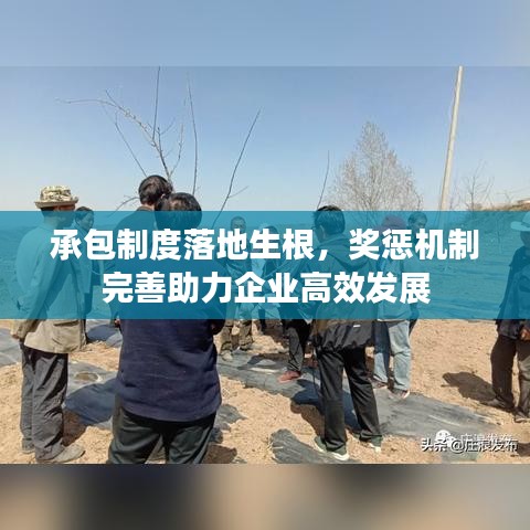承包制度落地生根，奖惩机制完善助力企业高效发展