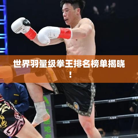 世界羽量级拳王排名榜单揭晓！