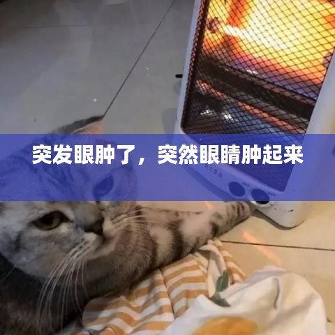 突发眼肿了，突然眼睛肿起来 