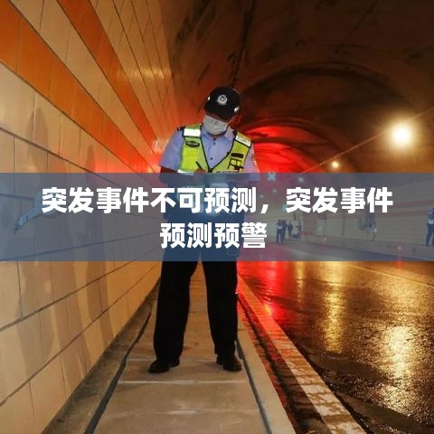 突发事件不可预测，突发事件预测预警 