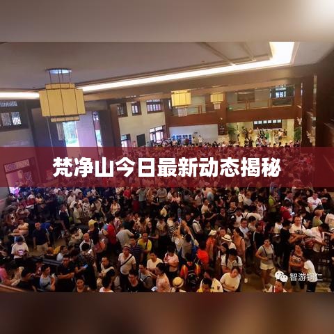 梵净山今日最新动态揭秘