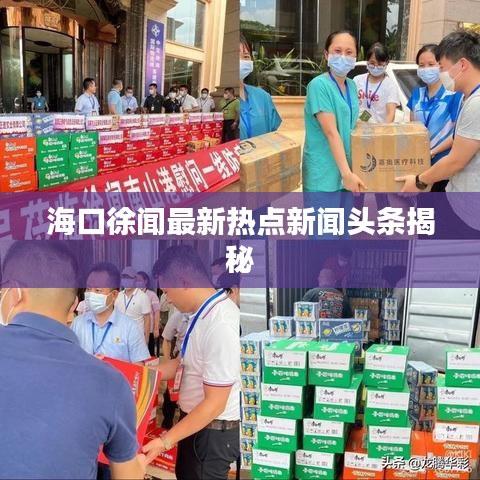 海口徐闻最新热点新闻头条揭秘