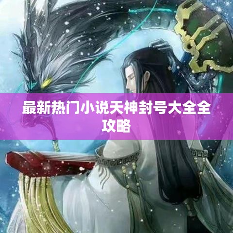 最新热门小说天神封号大全全攻略