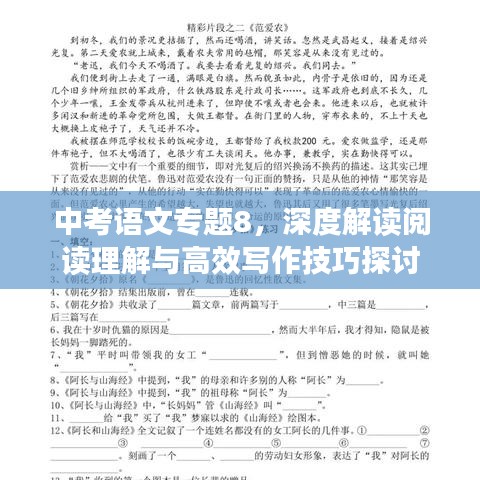 中考语文专题8，深度解读阅读理解与高效写作技巧探讨