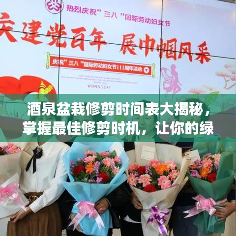酒泉盆栽修剪时间表大揭秘，掌握最佳修剪时机，让你的绿植焕发生机！