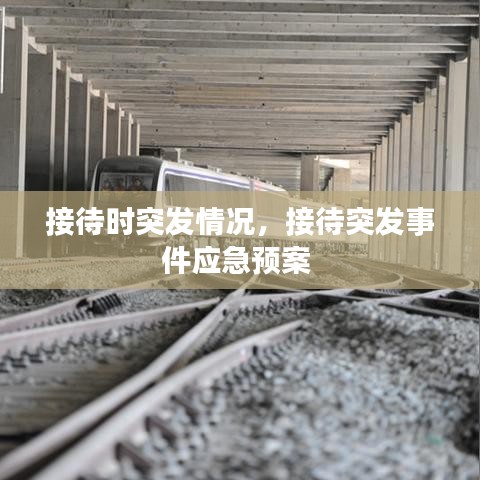 接待时突发情况，接待突发事件应急预案 