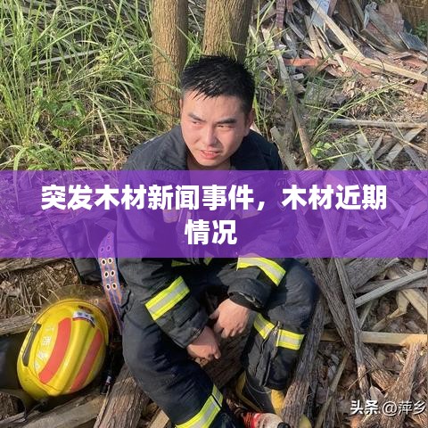 突发木材新闻事件，木材近期情况 