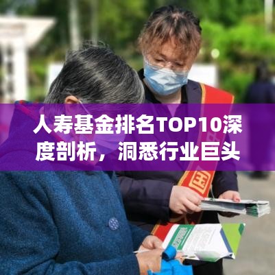 人寿基金排名TOP10深度剖析，洞悉行业巨头背后的秘密！