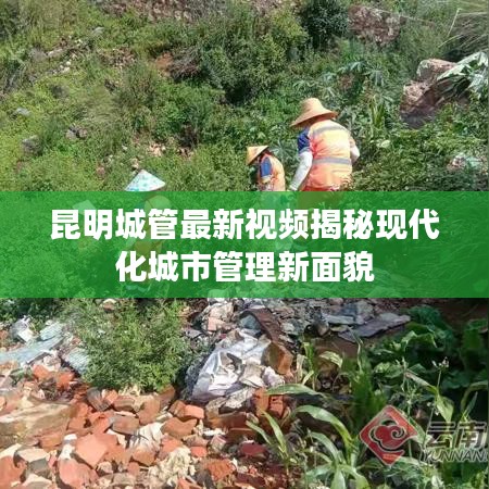 昆明城管最新视频揭秘现代化城市管理新面貌