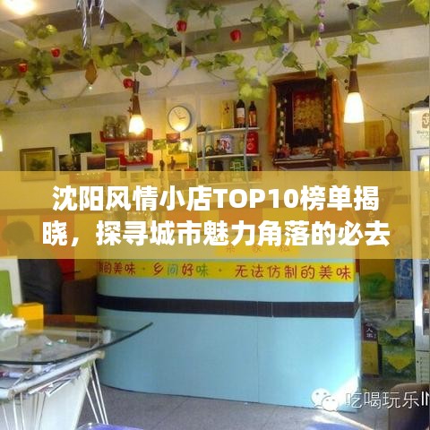 沈阳风情小店TOP10榜单揭晓，探寻城市魅力角落的必去之地！