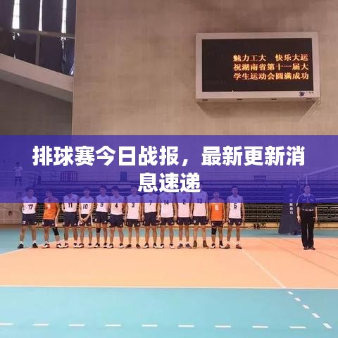 排球赛今日战报，最新更新消息速递