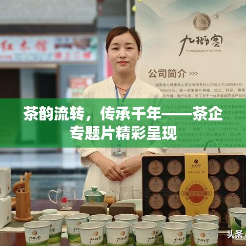 茶韵流转，传承千年——茶企专题片精彩呈现