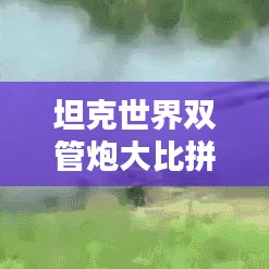 坦克世界双管炮大比拼，排名揭秘！