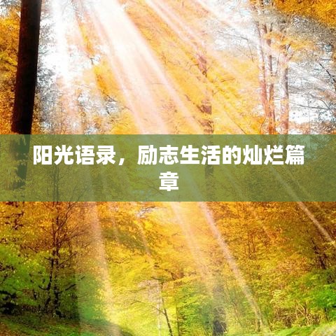 阳光语录，励志生活的灿烂篇章