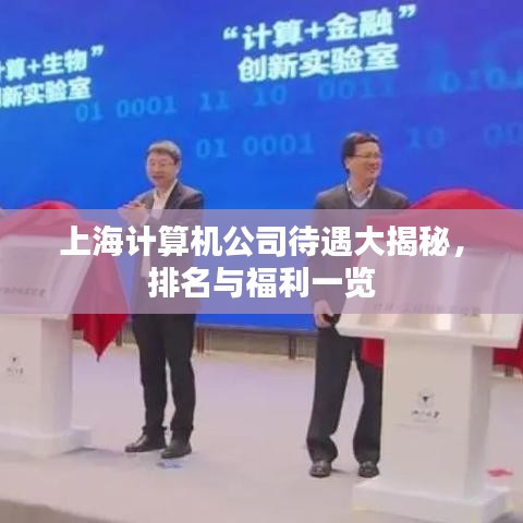 上海计算机公司待遇大揭秘，排名与福利一览