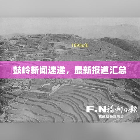 鼓岭新闻速递，最新报道汇总
