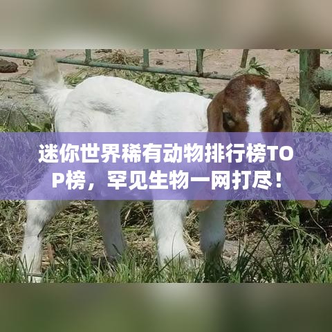 情不自禁 第2页
