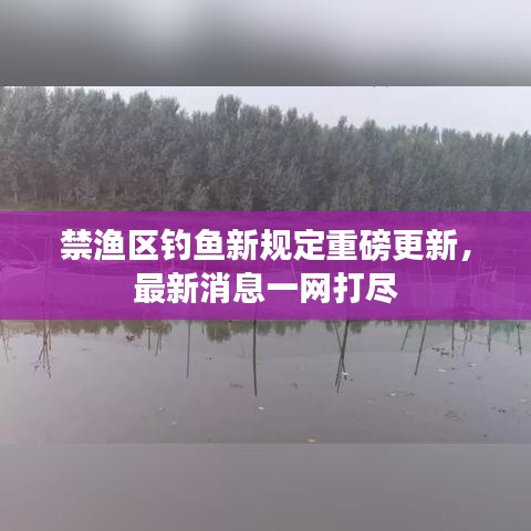 禁渔区钓鱼新规定重磅更新，最新消息一网打尽