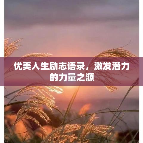 优美人生励志语录，激发潜力的力量之源