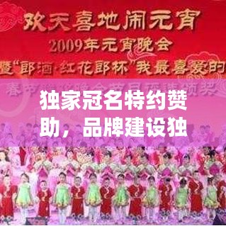 独家冠名特约赞助，品牌建设独特路径揭秘