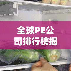 全球PE公司排行榜揭晓，顶级投资公司一网打尽！