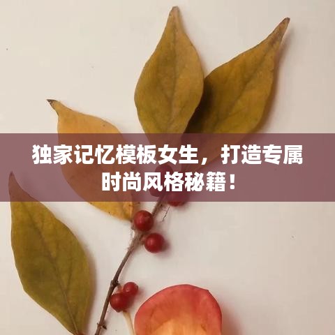 独家记忆模板女生，打造专属时尚风格秘籍！