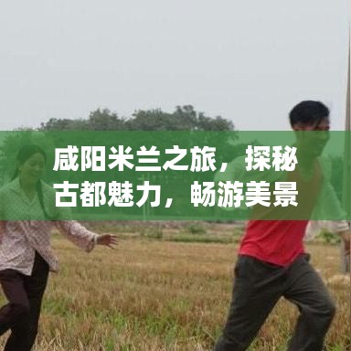咸阳米兰之旅，探秘古都魅力，畅游美景美食攻略！
