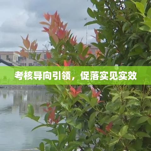 生离死别 第2页