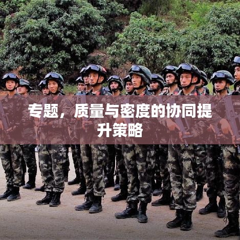 专题，质量与密度的协同提升策略