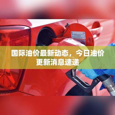 国际油价最新动态，今日油价更新消息速递