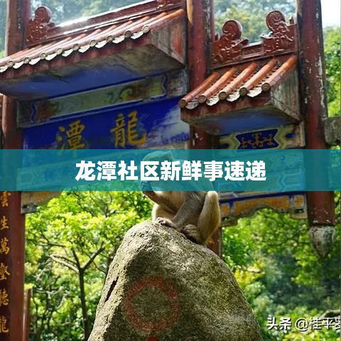龙潭社区新鲜事速递