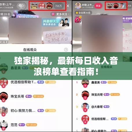 独家揭秘，最新每日收入音浪榜单查看指南！