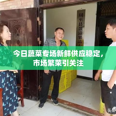 今日蔬菜专场新鲜供应稳定，市场繁荣引关注