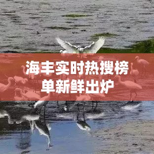 海丰实时热搜榜单新鲜出炉