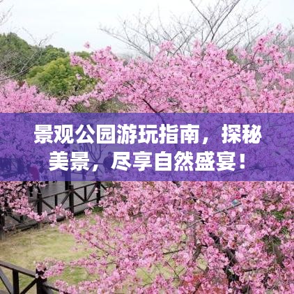 景观公园游玩指南，探秘美景，尽享自然盛宴！
