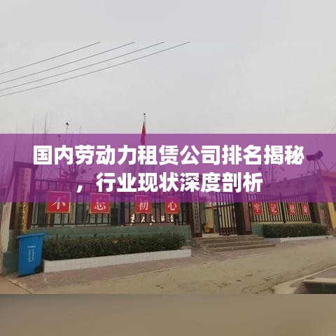 国内劳动力租赁公司排名揭秘，行业现状深度剖析