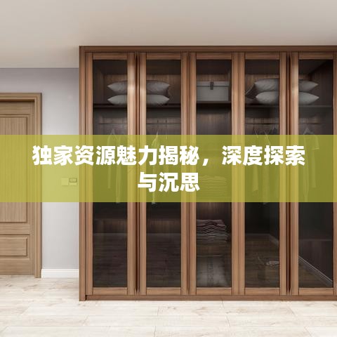 独家资源魅力揭秘，深度探索与沉思