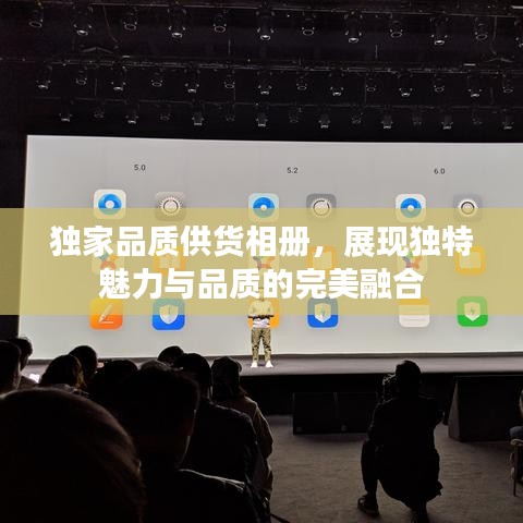 独家品质供货相册，展现独特魅力与品质的完美融合