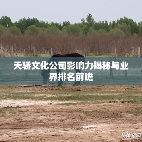 天骄文化公司影响力揭秘与业界排名前瞻