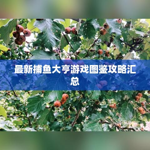 张牙舞爪 第2页